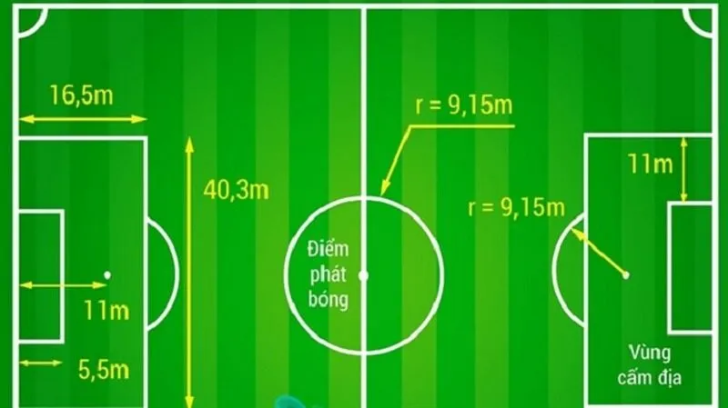 Để mở sân bóng đá mini cần bao nhiêu tiền luôn là được quan tâm